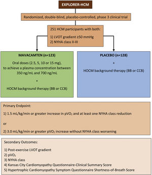 Summary of the EXPLORER-HCM clinical trial. BB: β-blocker; CCB: calcium channel blocker; HOCM: hypertrophic obstructive cardiomyopathy; LVOT: left ventricular outflow tract; NYHA: New York Heart Association; pVO2: peak oxygen consumption.