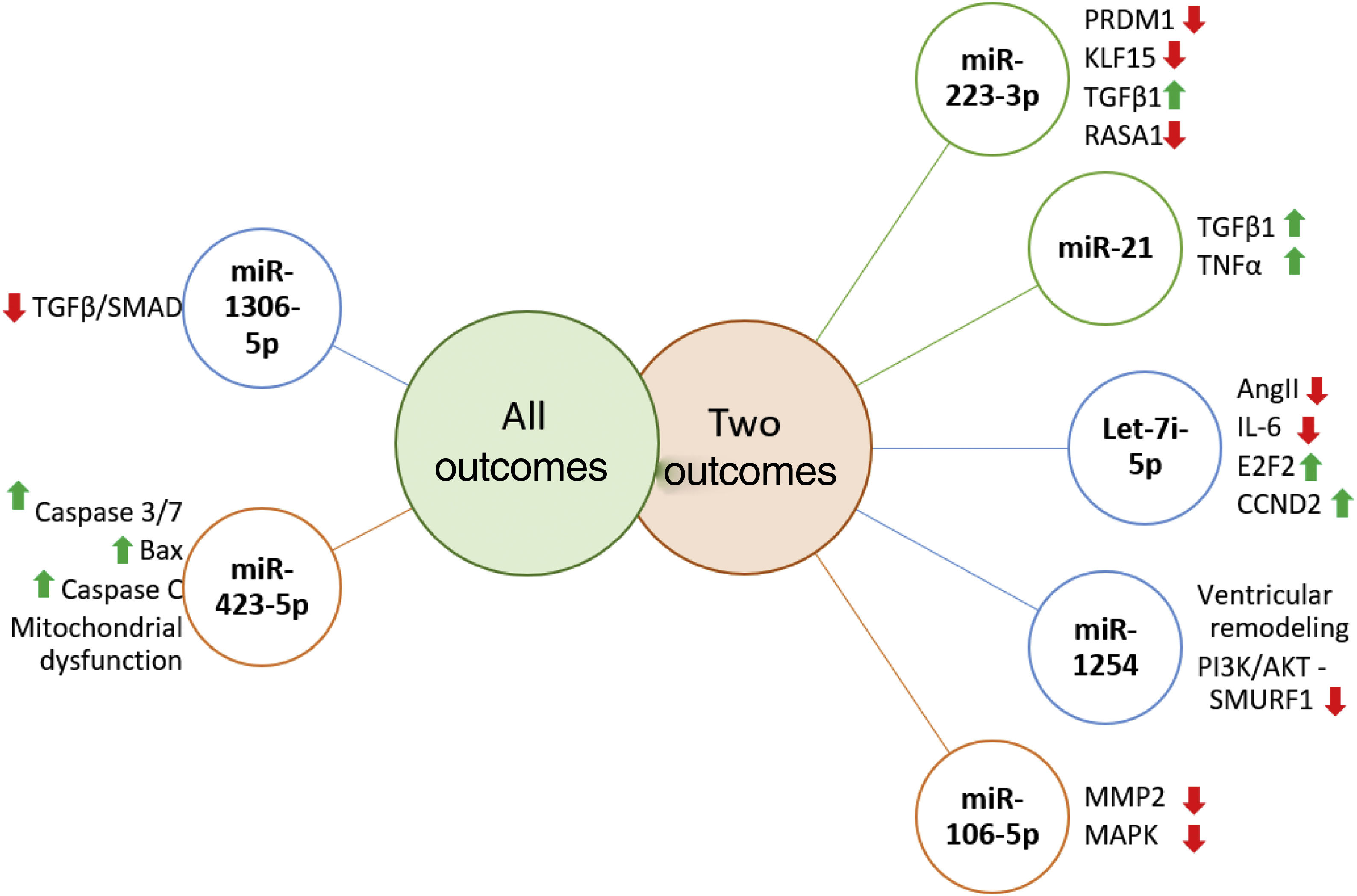 Candidate microRNAs as prognostic biomarkers in heart failure: A ...