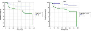 Kaplan-Meier survival curves for the MAGGIC score (0=MAGGIC<12; 1=MAGGIC>12; p=0.045) and N-terminal pro-B-type natriuretic peptide (NT-proBNP) (0=NT-proBNP<1000 pg/mL; 1=NT-proBNP>1000 pg/mL; p=0.0029).