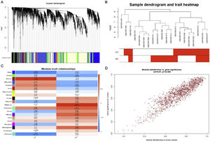 Weighted gene co-expression network analysis (WGCNA) of gene in septic cardiomyocytes. (A) Co-expression module-level cluster tree identified by WGCNA; (B) cluster tree diagram: the relationship between septic cardiomyocyte samples; (C) relationship between sepsis model and module relevance; (D) scatter diagram between members of the Brown module and genetic sense.