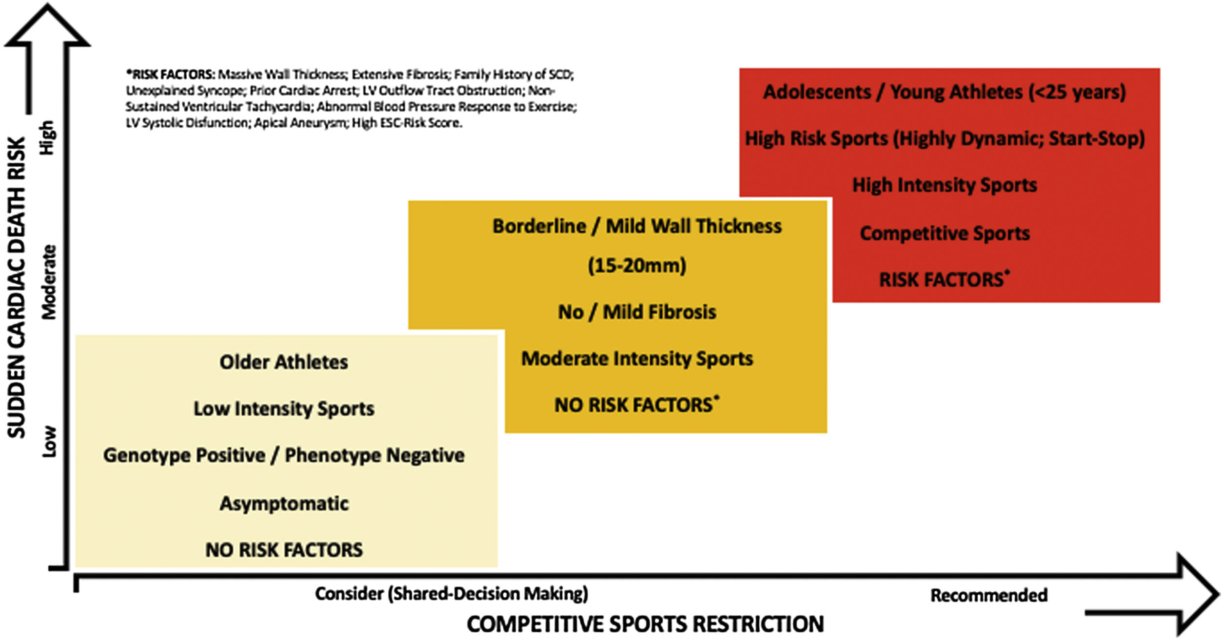 Exercise in hypertrophic cardiomyopathy: Yes or no? | Revista ...