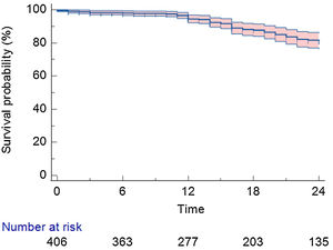 Procedural success is given as freedom from atrial fibrulation as a function of time.