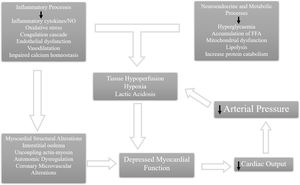 Pathophysiology of sepsis cardiomyopathy. FFA: free fatty acids; NO: nitric oxide.