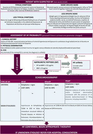 Diagnostic algorithm and classification of the type of heart failure.10aThe key structural changes (left atrium dilation and/or left ventricular hypertrophy) are characterized by LAVI>34 mL/m2 or an LVMI≥115 g/m2 in men and ≥95 g/m2 in women or relative wall thickness >0.42. The key functional changes are an E/e’ at rest ≥9, PA systolic pressure >35 mmHg and a TR velocity at rest >2.8 m/s. AF: atrial fibrillation; BNP: B-type natriuretic peptide; CAD: coronary artery disease; COPD: chronic obstructive pulmonary disease; ECG: electrocardiogram; HF: heart failure; LAVI: left atrial volume index; LVMI: left ventricular mass index; MI: myocardial infarction; NT-proBNP: N-terminal fragment of type B natriuretic peptide; OSAS: obstructive sleep apnea syndrome; PA: pulmonary arterial; T2DM: type 2 diabetes; TR: tricuspid regurgitation.