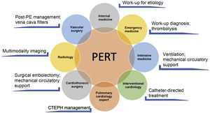 Example of the multidisciplinary nature of a pulmonary embolism response team and the different skills involved (adapted from Rosovsky et al.50). CTEPH: chronic thromboembolic pulmonary hypertension; PE: pulmonary embolism; PERT: pulmonary embolism response team.