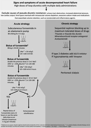 Proposed protocol to treat diuretic resistant heart failure. NaCl: sodium chloride; SGLT2: sodium/glucose cotransporter 2; UNa+: urinary sodium; UO: urinary output.