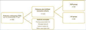 Flow diagram of patient enrollment. CIT: coplanar implantation technique; COP: cusp-overlap projection; TAVI: transcatheter aortic valve replacement.