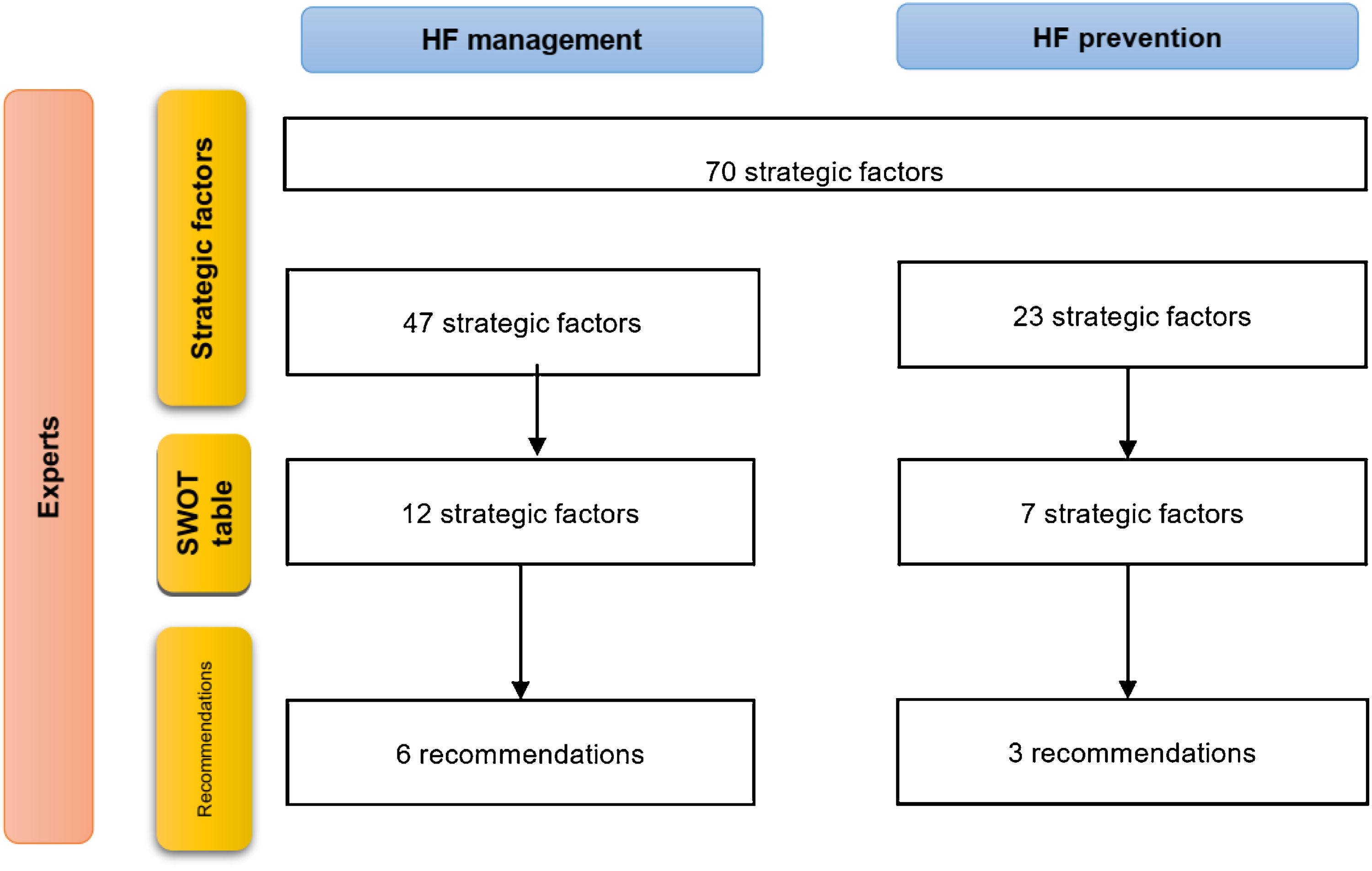 Expert perspectives on strategic factors for the management and ...