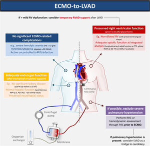 Optimal patient assessment for ECMO-HM3 bridge to transplant. 3D: three-dimensional; ALT: alanine aminotransferase; AST: aspartate aminotransferase; CMR: cardiac magnetic resonance; ECMO: extracorporeal membrane oxygenation; eGFR: estimated glomerular filtration rate; Hb: hemoglobin; HM3: HeartMate 3™; LVAD: left ventricular assist device; PAC: pulmonary artery catheter; RHC: right heart catheterization; RV: right ventricular; RVAD: right ventricular assist device; RVEF: right ventricular ejection fraction; TTE: transthoracic echocardiography.