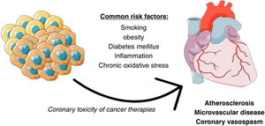 Mechanisms involved in the association of cancer with coronary artery disease.