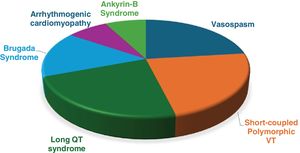 Established diagnosis during follow-up. VT: ventricular tachycardia.