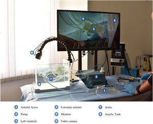 The SimulHeart® simulation setup.