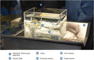 The SimulHeart® simulation setup.