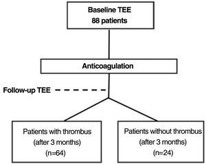 Flowchart showing resolution of LAA thrombus.