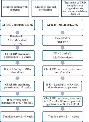 Heart failure with reduced ejection fraction therapy proposed approach.10,12–17,36,37 *SGLT2 if GFR >20 ml/min/1.73 m2; if GFR <20 ml/min/1.73 m2: consider in selected patients. ARNI: angiotensin receptor-neprilysin inhibitor; BP: blood pressure; GFR: glomerular filtration rate; K: serum potassium; MRA: mineralocorticoid receptor antagonist; SGLT2i: sodium-glucose cotransporter-2 inhibitor.