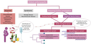 Diagram for genetic testing in dilated cardiomyopathy. DCM: dilated cardiomyopathy.