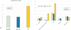 Outcomes at 1 year follow-up. Incidence of events at one year follow-up after AMI discharge. Left: overall event rate (%) in the global cohort, non-AF, and AF groups (p<0.05). Right: breakdown by event type—acute coronary syndrome (ACS), new revascularization, heart failure (HF), stroke, and major bleeding—according to group (p<0.05). AF, atrial fibrillation.