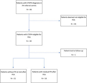 Study flowchart. CTEPH: chronic thromboembolic pulmonary hypertension; PEA: pulmonary endarterectomy; PH: pulmonary hypertension.