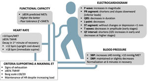 Overview of some of the physiological cardiovascular responses to exercise testing. bpm: beats per minute; DBP: diastolic blood pressure; ET: exercise stress testing with electrocardiographic monitoring; HR: heart rate; METs: metabolic equivalents of task; SBP: systolic blood pressure; TMHR: theoretical maximal heart rate. 1Should not be used in isolation for test interruption (see main text for details).