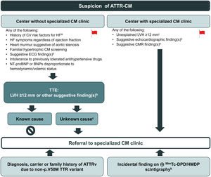 Algorithm for referring patients with suspicion of transthyretin amyloid cardiomyopathy to a specialized cardiomyopathy clinic. 99mTc-DPD/HMDP: 99mTc-3,3-diphosphono-1,2-propanodicarboxylic acid or 99mTc-hydroxymethylene diphosphonate; ATTR-CM: transthyretin amyloid cardiomyopathy; ATTRv: variant ATTR amyloidosis; BNPs: brain natriuretic peptides; CM: cardiomyopathy; CMR: cardiac magnetic resonance; CV: cardiovascular; ECG: electrocardiogram; HF: heart failure; LVH: left ventricular hypertrophy; NT-proBNP: N-terminal pro brain-type natriuretic peptide; TTE: transthoracic echocardiogram; TTR: transthyretin. aE.g., hypertension, diabetes, obesity47,48; bSee Table 2 for details; cLVH not explained by hypertension or valvular disease.  positive: Perugini grade 2–3 scintigraphy.31