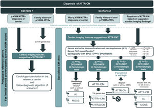 Algorithm for the diagnosis of transthyretin amyloid cardiomyopathy. AL: light chain amyloidosis; ATTR-CM: transthyretin amyloid cardiomyopathy; ATTRv: variant ATTR amyloidosis; CM: cardiomyopathy; CMR: cardiac magnetic resonance; eGFR: estimated glomerular filtration rate; FLC: free light chain; IHC: immunohistochemistry; LVH: left ventricular hypertrophy; MGUS: monoclonal gammopathy of undetermined significance; MS: mass spectrometry; TTE: transthoracic echocardiogram; TTR: transthyretin.  positive;  negative; 99mTc-DPD/HMDP(99mTc-3,3-diphosphono-1,2-propanodicarboxylic acid or 99mTc-hydroxymethylene diphosphonate) scintigraphy with single-photon emission computed tomography (SPECT): Perugini grade 2–331;  biopsy: Congo red staining of amyloid deposits showing green birefringence when viewed under cross-polarized light28,39,40; aSee details in Table 2; $In the presence of the p.V50M variant, a biopsy is often required since 99mTc-DPD/HMDP scintigraphy can yield false negatives for this variant34–36; $Endomyocardial biopsy is the gold standard. An extracardiac biopsy may be considered and is helpful if positive, but the presence of a negative result should prompt further assessment through endomyocardial biopsy2,41; *Refined κ/λ FLC limits for normal ratio32; # Endomyocardial biopsy is the gold standard. An extracardiac biopsy may be considered and is helpful if positive, but the presence of a negative result should prompt further assessment through endomyocardial biopsy.2,41