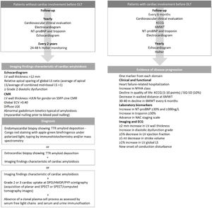 Diagnosis and monitoring of cardiac amyloidosis in patients with hereditary transthyretin amyloidosis after orthotopic liver transplantation. CMR: cardiac magnetic resonance; DPD: 99mtechnetium-3,3-diphosphono-1,2-propanodicarboxylic acid; ECV: extracellular volume; EQ-5D: five-dimension EuroQol instrument; HF: heart failure; HMDP: 99mtechnetium-hydroxymethylene diphosphonate; KCCQ: Kansas City Cardiomyopathy Questionnaire; LS: longitudinal strain; LV: left ventricular; 6MWT: six-minute walk test; NAC: UK National Amyloidosis Centre score; NT-proBNP: N-terminal pro-brain natriuretic peptide; NYHA: New York Heart Association; OLT: orthotopic liver transplantation; PYP: 99mtechnetium pyrophosphate; SPECT: single-photon emission computed tomography; SSFP: steady-state free precession; TTR: transthyretin; ULN: upper limit of normal.