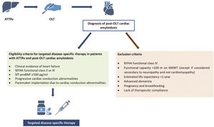 Targeted disease-specific therapy for patients with hereditary transthyretin amyloidosis and post-orthotopic liver transplantation cardiac amyloidosis. ATTRv: hereditary transthyretin amyloidosis; NT-proBNP: N-terminal pro-brain natriuretic peptide; NYHA: New York Heart Association; OLT: orthotopic liver transplantation; TTR: transthyretin.