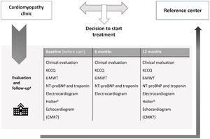 Evaluation and follow-up of patients with post-orthotopic liver transplantation cardiac amyloidosis undergoing targeted disease-specific therapy. Laboratory tests should include hemogram, biochemistry (including renal and hepatic function), troponin, and NT-proBNP. 6MWT: six-minute walk test; CMR: cardiac magnetic resonance; KCCQ: Kansas City Cardiomyopathy Questionnaire. a The frequency of follow-up may be adjusted in accordance with clinical status. b In patients without cardiac devices.