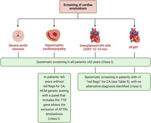 Recommendations for the screening of cardiac amyloidosis in four clinical settings with a strong epidemiological association with the disease. ATTRv: hereditary transthyretin amyloidosis; CA: cardiac amyloidosis; HCM: hypertrophic cardiomyopathy; HFpEF: heart failure with preserved ejection fraction; LVH: left ventricular hypertrophy; LVWT: left ventricular wall thickness; TTR: transthyretin.