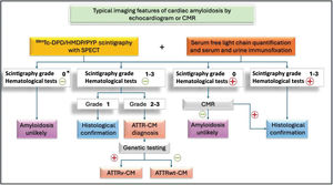 Non-invasive diagnostic algorithm for transthyretin amyloid cardiomyopathy. 99mTc: 99mtechnetium; ATTR-CM: transthyretin amyloid cardiomyopathy; ATTRv-CM: hereditary transthyretin amyloid cardiomyopathy; ATTRwt-CM: wild-type transthyretin amyloid cardiomyopathy; CMR: cardiac magnetic resonance; DPD: 3,3-diphosphono-1,2-propanodicarboxylic acid; HMDP: hydroxymethylene diphosphonate; PYP: pyrophosphate; SPECT: single-photon emission computed tomography. *Considering the endemic presence of the Val50Met variant in Portugal, in the presence of grade 0 scintigraphy associated with negative hematological tests, the diagnosis of ATTR-CM should still be pursued if there is a high clinical suspicion.