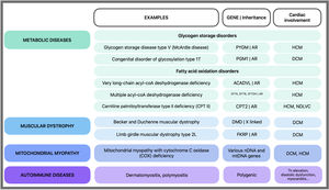 Non-acquired causes of rhabdomyolysis with cardiomyopathy. Rhabdomyolysis is more common in genetic metabolic diseases and less common in other conditions. AR: autosomal recessive; DCM: dilated cardiomyopathy; HCM: hypertrophic cardiomyopathy; mtDNA: mitochondrial DNA; nDNA: nuclear DNA; NDLVC: non-dilated left ventricle cardiomyopathy; Tn: troponin.