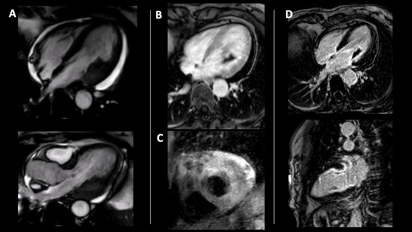 fig0010
