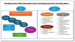 Common risk score calculators (references in the text) and common risk modifiers in the ESC guidelines. CAC score: Coronary Artery Calcium score; CRP: C reactive protein; DM: diabetes mellitus; HT: hypertension; NT-proBNP: N-terminal fragment of pro-B-type natriuretic peptide.