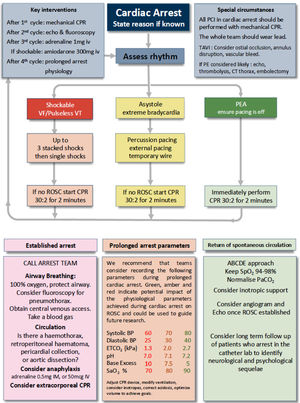 Central algorithm for ALS in the cardiac catheterization laboratory. Adapted from Ref. 8, with authorization.