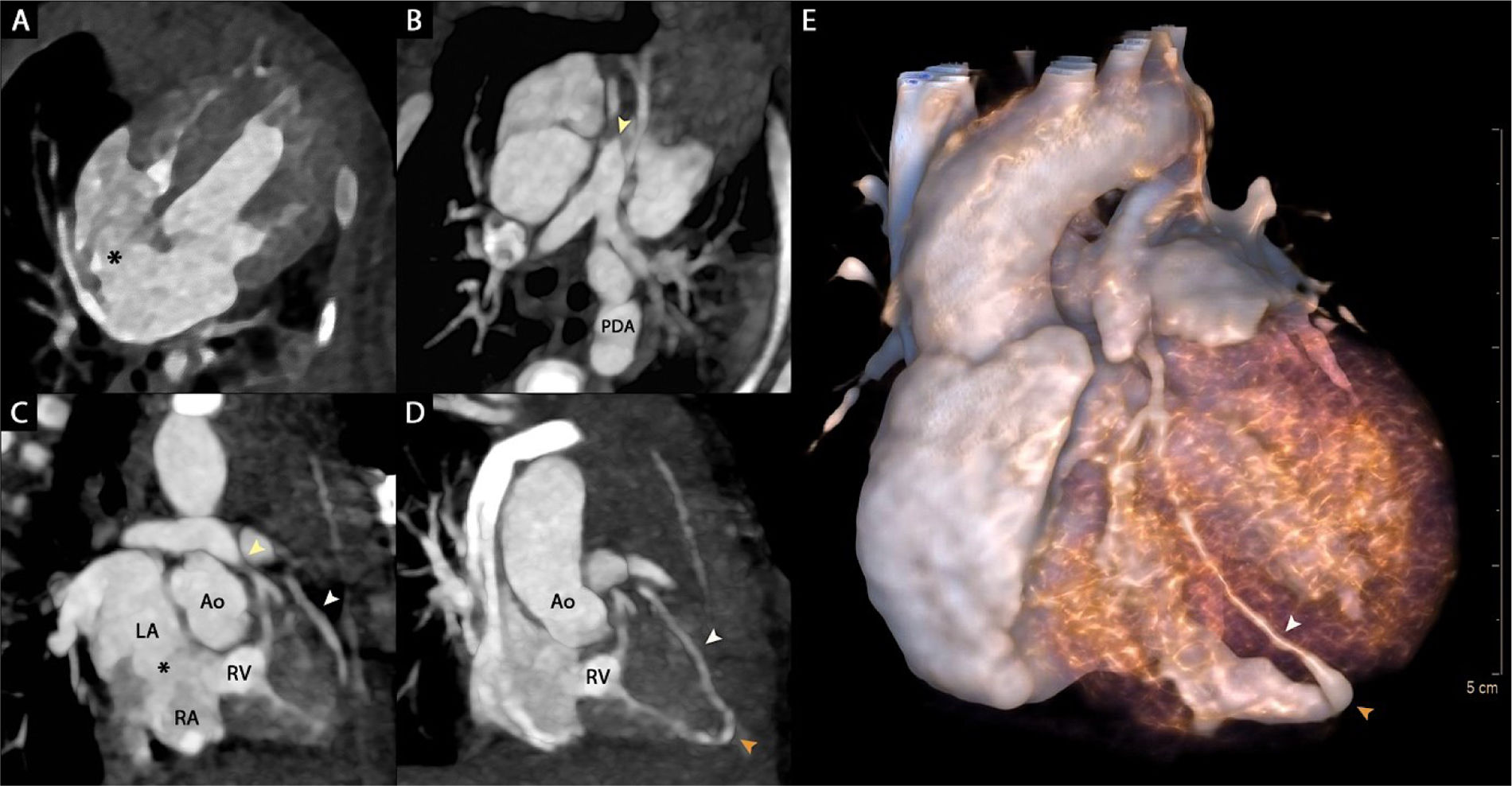 fig0010