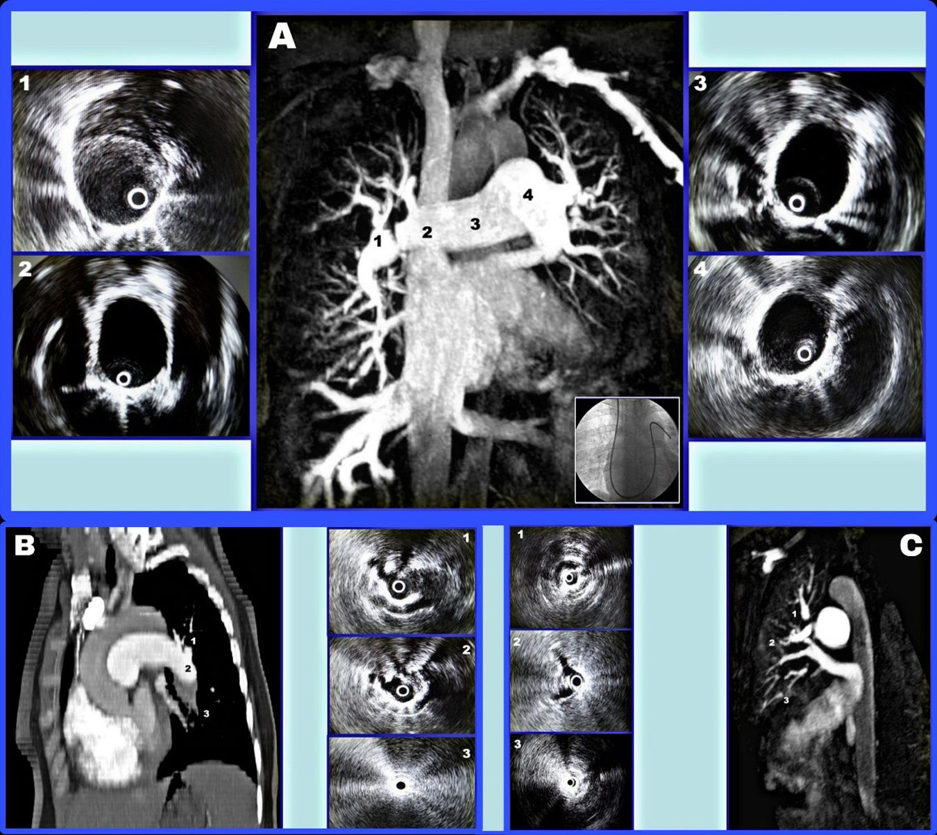 fig0005