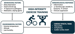 Mechanisms linking sports and risk of myocarditis.