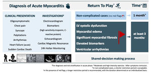 Proposed management strategy for RTP in athletes following AM.