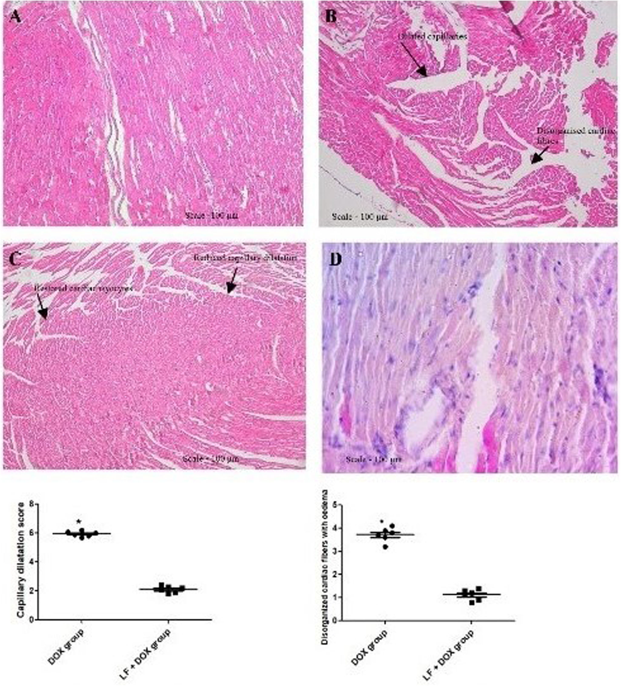 fig0020