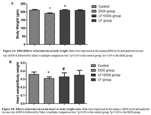 (A) Effects of lactoferrin on body weight. The data are expressed as the means±SEMs (n=6) and were analyzed via one-way ANOVA followed by Tukey