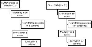 Flowchart of patients listed for urgent heart transplantation under short-term ventricular assist device (VAD) support: extracorporeal membrane oxygenation (ECMO) as a bridge to VAD versus direct VAD implantation.