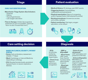 AHF admission roadmap. AHF: acute heart failure; BNP: B-type natriuretic peptide; CBC: complete blood count; ECG: electrocardiogram; HF: heart failure; ICU: intensive care unit; LVEF: left ventricular ejection fraction; NTproBNP: N-terminal pro B-type natriuretic peptide; WHF: worsening heart failure.