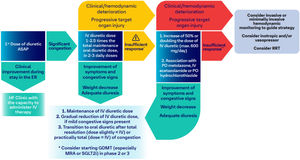 Diuretic therapy. *Urine output <100–150 mL/h within the first 6 hours or urinary Na concentration <50 mEq/L within 2 hours post-administration or worsening of symptoms and signs of congestion; **Same as above+progression from clinical profile B to C (hypoperfusion arising). ASAP: as soon as possible; ER: emergency room; GDMT: guideline-directed medical therapy; HF: heart failure; IV: intravenous; MRA: mineralocorticoid receptor antagonists; RRT: renal replacement therapy; SGLT2i: sodium-glucose co-transporter-2 inhibitors.