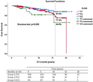 Kaplan–Meier survival analysis for CV events by GJA4 genotypes. The number of patients at risk are indicated for each time point during follow-up.
