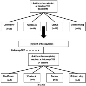 Flowchart showing resolution of thrombus in relation to its LAA type.