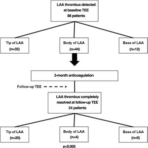 Flowchart showing resolution of LAA thrombus in relation to its location.