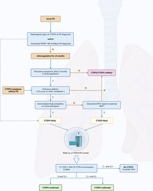 Diagnostic algorithm in patients with suspected chronic thromboembolic pulmonary disease/hypertension. CO: cardiac output; CTEPD: chronic thromboembolic pulmonary disease; CTEPH: chronic thromboembolic pulmonary hypertension; CPET: cardiopulmonary exercise test; CTPA: computed tomography pulmonary angiography; DECT: dual-energy computed tomography; DSA: digital subtraction angiography; mPAP: mean pulmonary artery pressure; MRI: magnetic resonance imaging; N: no; PAH: pulmonary arterial hypertension; PASP: pulmonary artery systolic pressure; PE: pulmonary embolism; PETCO2: end-tidal partial pressure of carbon dioxide; RHC: right heart catheterization; SPECT: single-photon emission computed tomography; V/Q: ventilation/perfusion; VE/VCO2: ventilatory equivalent for carbon dioxide; VO2/HR: oxygen pulse; VO2: oxygen uptake; Y: yes. aCould also be considered in rapidly deteriorating patients. bFollow-up echocardiogram could be considered if symptoms persist. cSPECT V/Q, DECT or MRI perfusion. dLow PETCO2, high VE/VCO2, low VO2/HR and low peak VO2 on CPET or mPAP/CO slope between rest and exercise >3 mmHg/l/min on RHC. Created with BioRender.com.