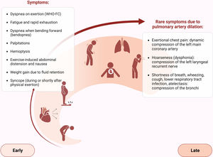 Common symptoms suggesting pulmonary hypertension and rare symptoms suggesting pulmonary artery dilation (and thoracic compression syndrome). WHO-FC: World Health Organization functional class.