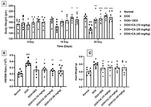 Effect of chelidonic acid on body weight and heart to body weight ratio. (A) Body weight, (B) heart weight to body weight ratio, and (C) heart weight. All values are expressed as mean±SEM (n=7), ***p<0.001, **p<0.01, and *p<0.05 when compared with the DOX – treated group. #p<0.05 and ###p<0.001 when compared with the normal group.