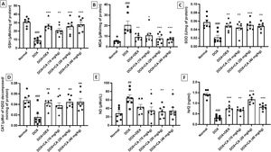 Effect of chelidonic acid on oxidative stress, NO, and Nrf2 concentration. (A) Glutathione (GSH), (B) malondialdehyde (MDA), (C) superoxide dismutases (SOD), (D) catalase (CAT), (E) nitric oxide (NO) and (F) nuclear factor erythroid 2-related factor 2 (Nrf2). All values are expressed as mean±SEM (n=7), ***p<0.001, **p<0.01, and *p<0.05 when compared with the DOX – treated group. ###p<0.001 and ##p<0.01 when compared with the normal group.